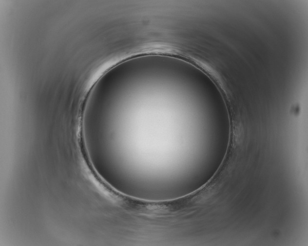 X0000113621383200909251156