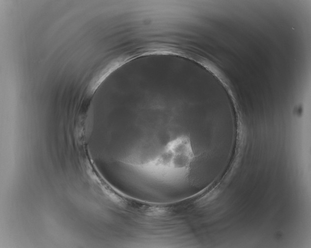 X0000113621385200909251156