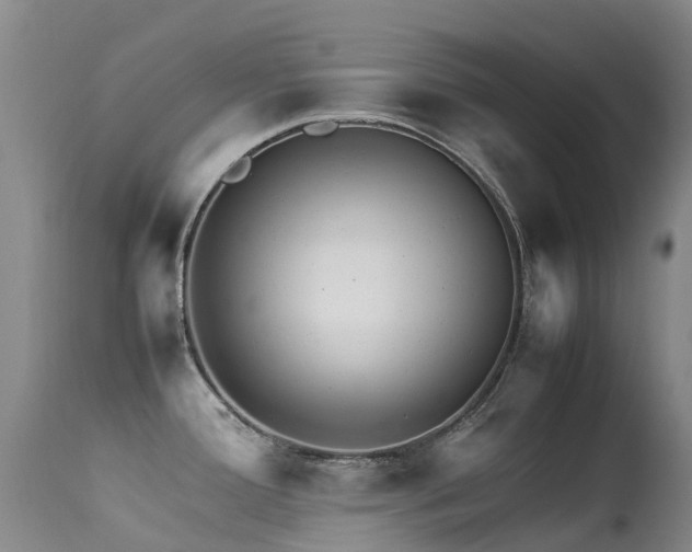 X0000113621388200909251156