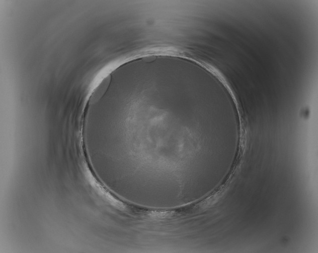 X0000113621389200909251156