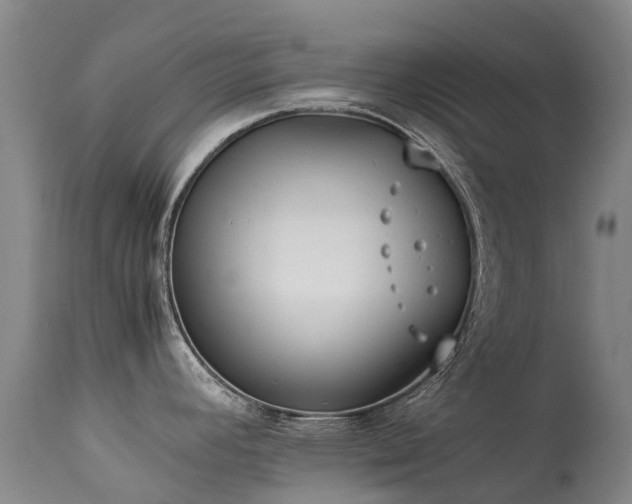 X0000113621392200909251156