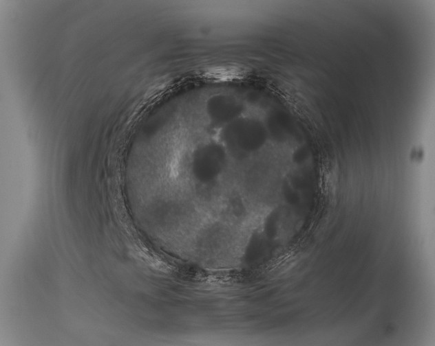 X0000113621393200909251155