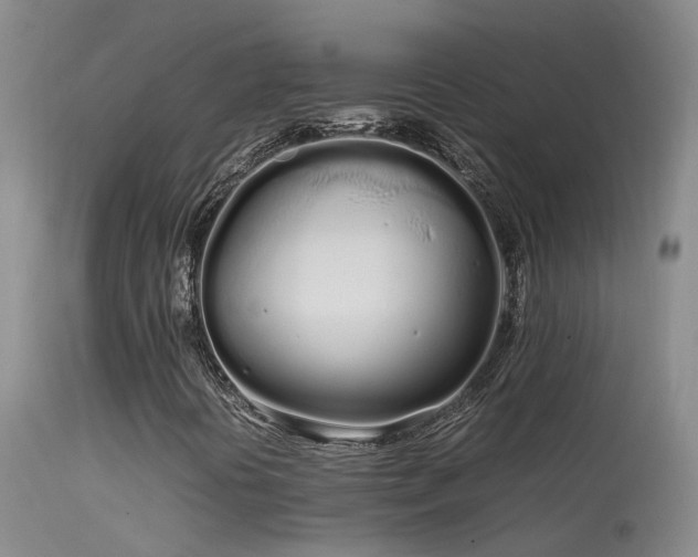 X0000113621394200909251155