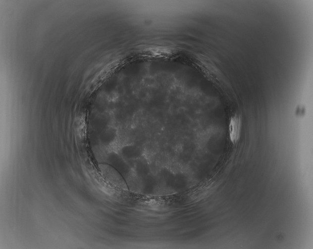 X0000113621395200909251155