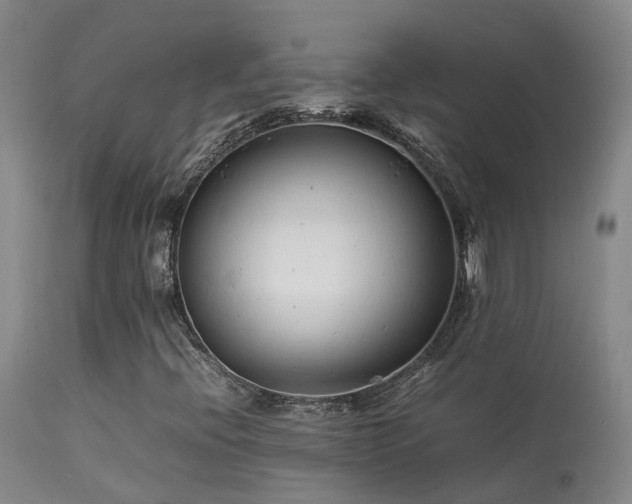 X0000113621396200909251155