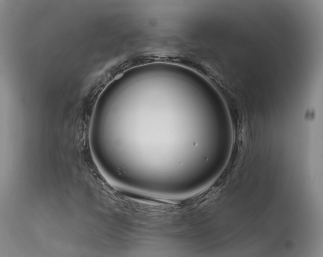 X0000113621398200909251155