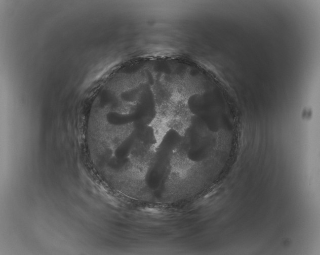 X0000113621399200909251155