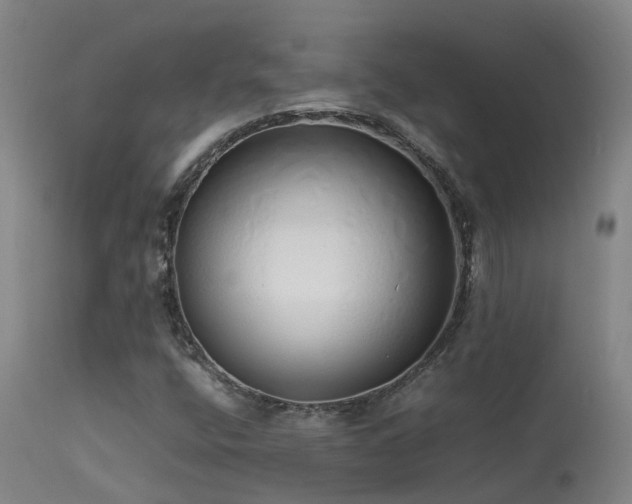 X0000113621400200909251155