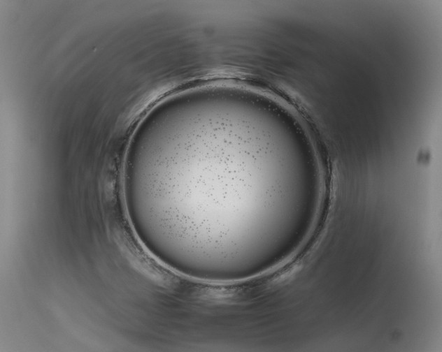 X0000113621401200909251155