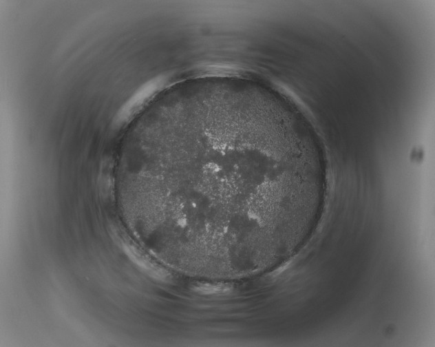 X0000113621403200909251155