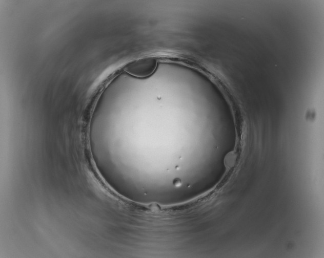 X0000113621404200909251155