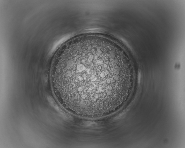 X0000113621405200909251155