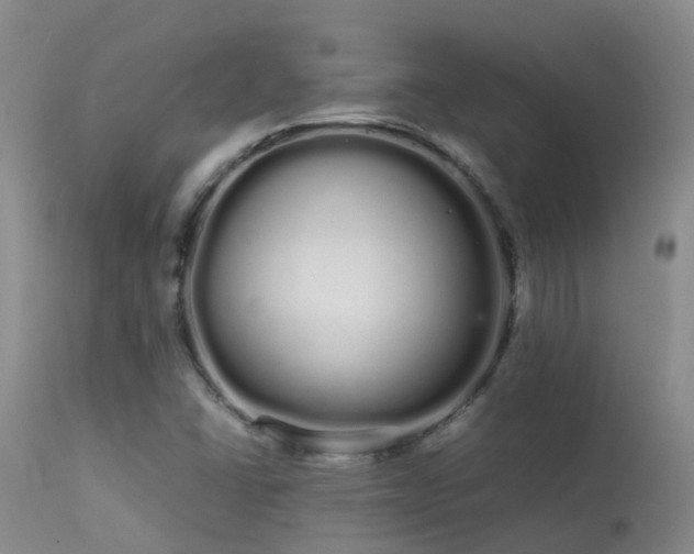 X0000113621406200909251155