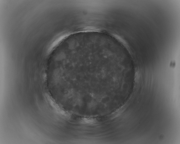 X0000113621407200909251155