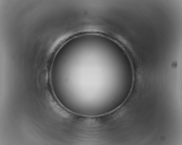 X0000113621408200909251155