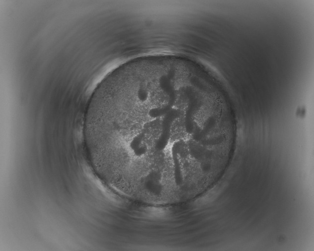 X0000113621409200909251155