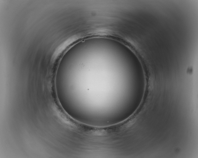 X0000113621410200909251155