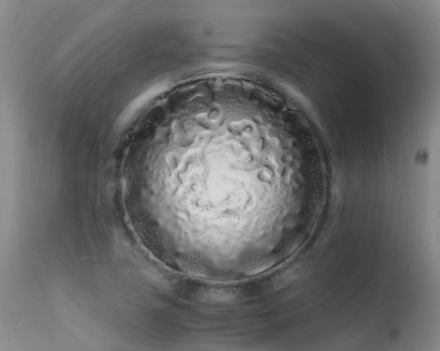 X0000113621411200909251155