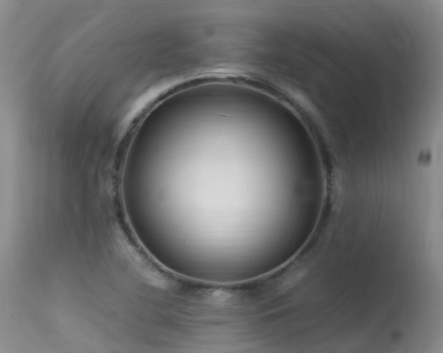 X0000113621412200909251155