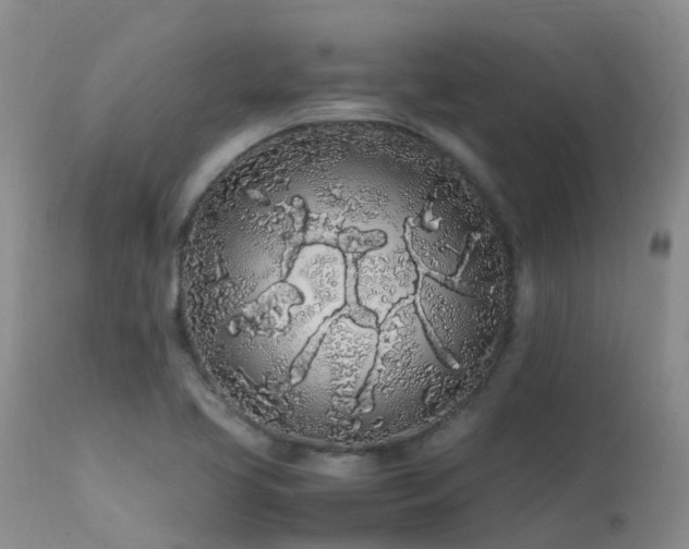 X0000113621413200909251155