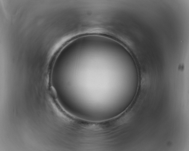 X0000113621414200909251156