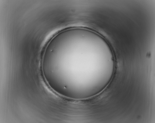 X0000113621416200909251156