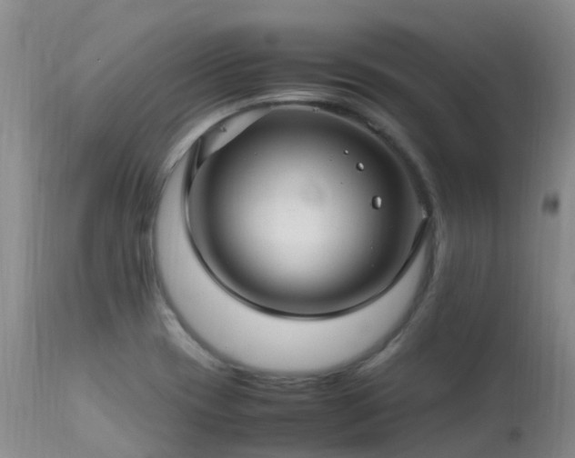 X0000113621417200909251156