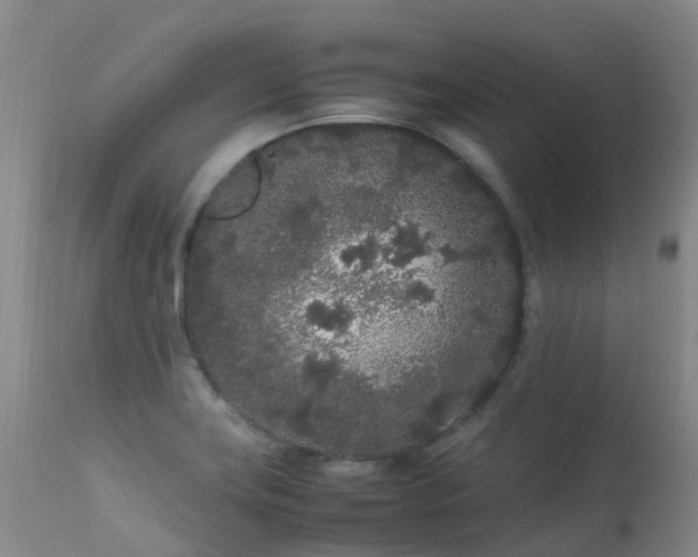 X0000113621419200909251156