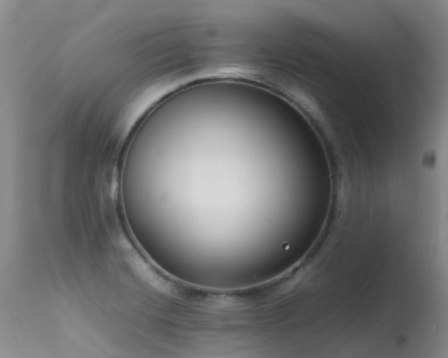 X0000113621420200909251156