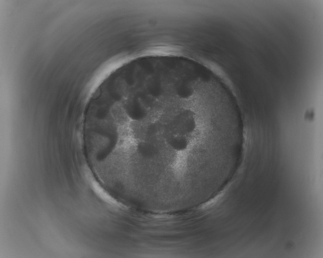 X0000113621421200909251156