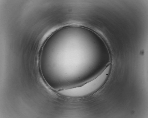 X0000113621424200909251156