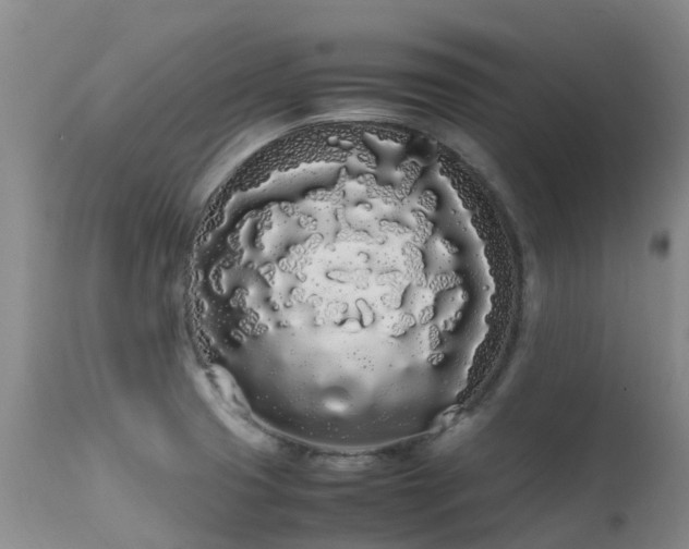 X0000113621425200909251156