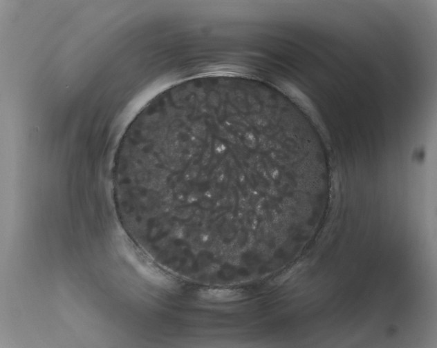 X0000113621427200909251156