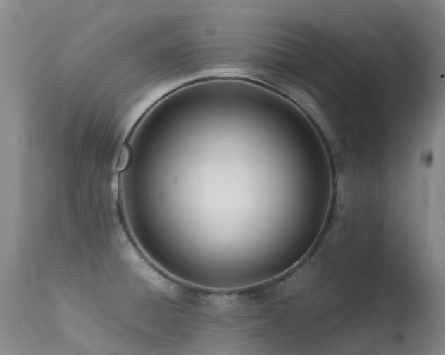 X0000113621428200909251156