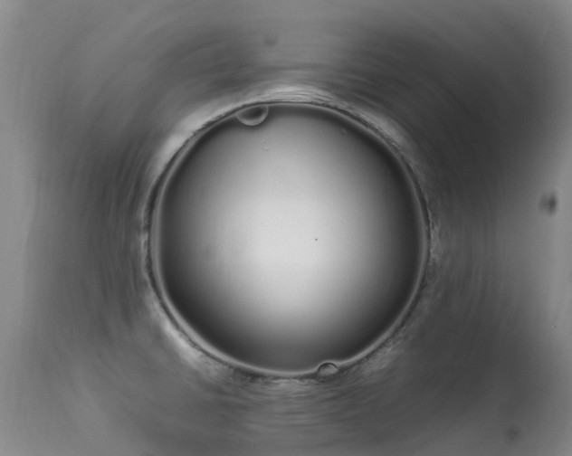 X0000113621430200909251156