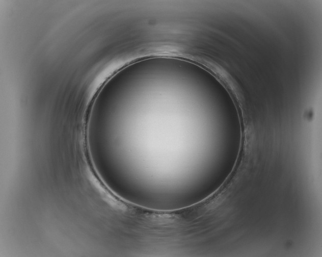 X0000113621432200909251156