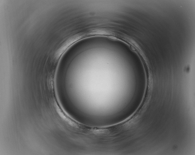 X0000113621433200909251156