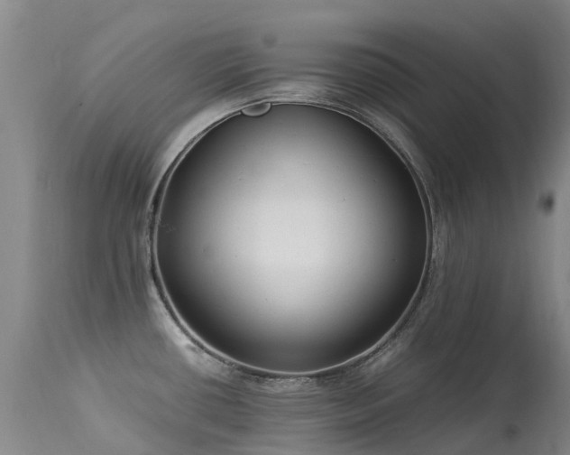 X0000113621434200909251156