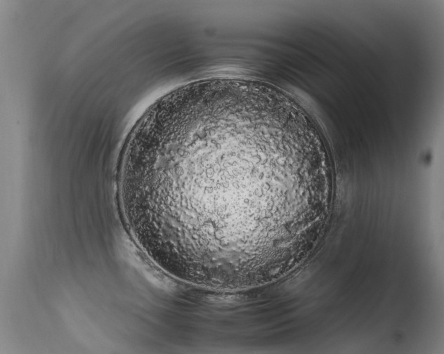 X0000113621435200909251156