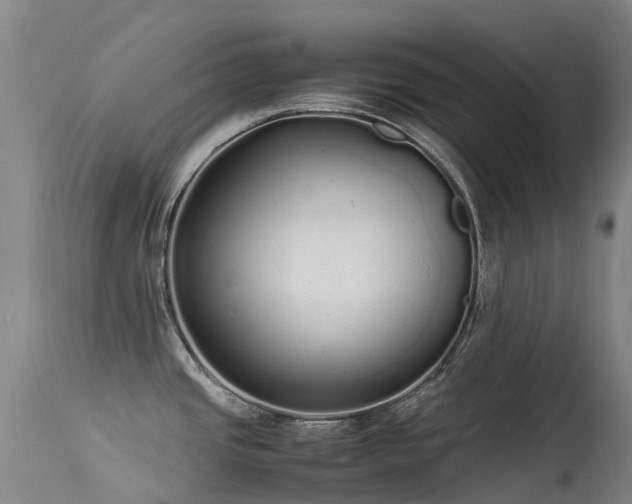 X0000113621437200909251156