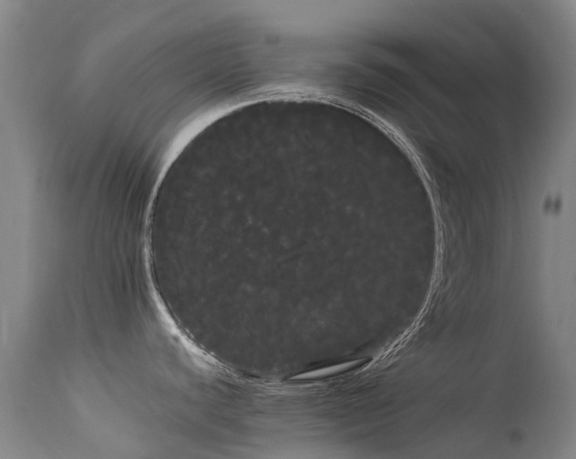 X0000113621440200909251156