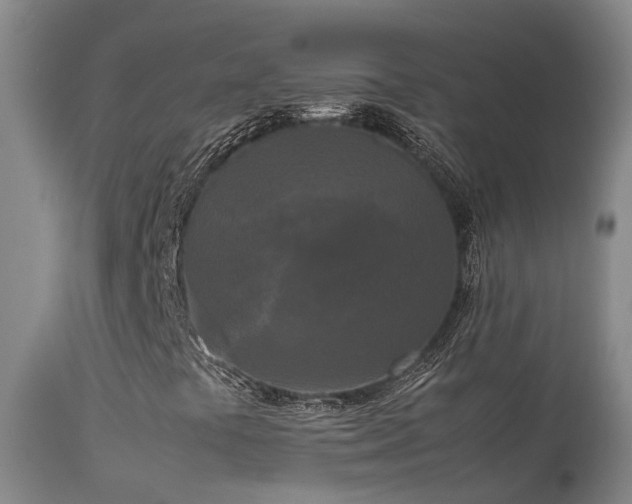 X0000113621441200909251155