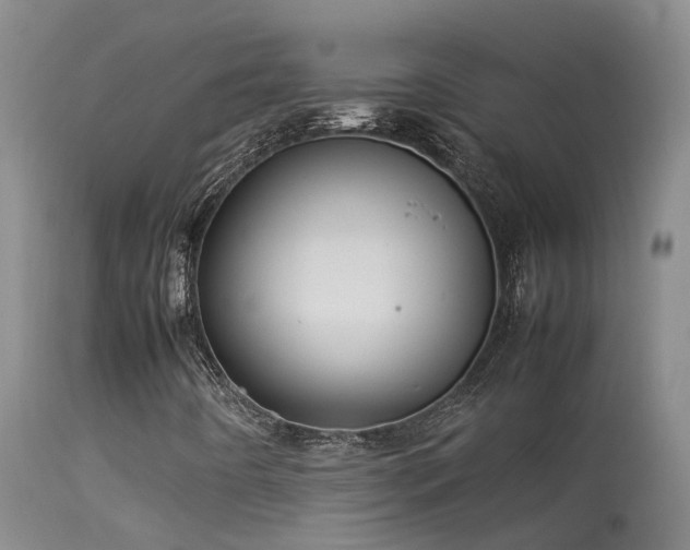 X0000113621442200909251155