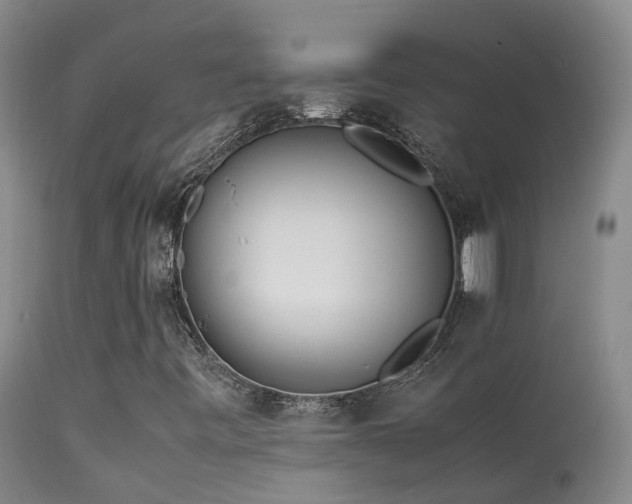 X0000113621443200909251155