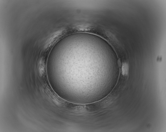 X0000113621444200909251155