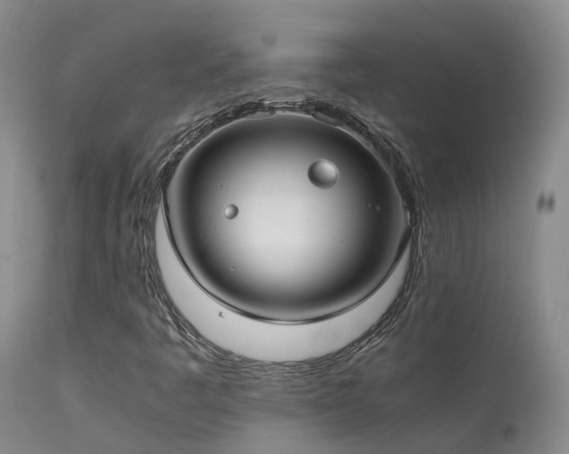 X0000113621445200909251155