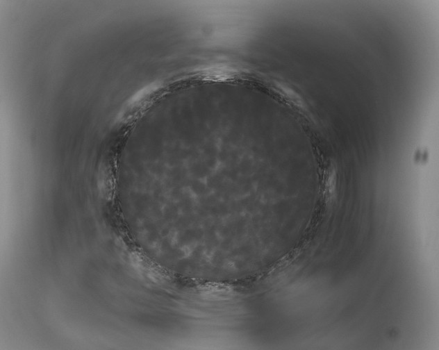 X0000113621446200909251155