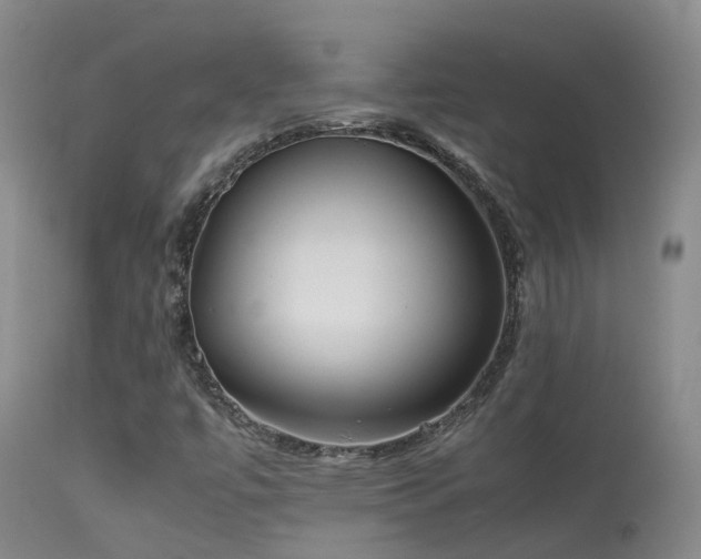 X0000113621447200909251155