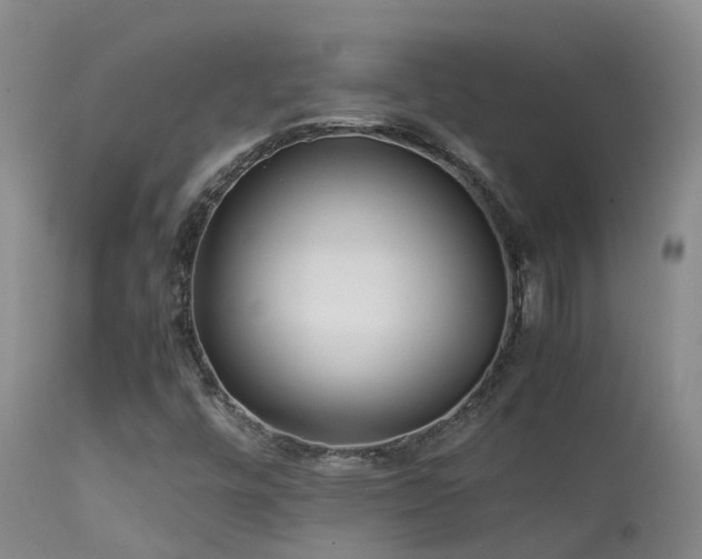 X0000113621448200909251155