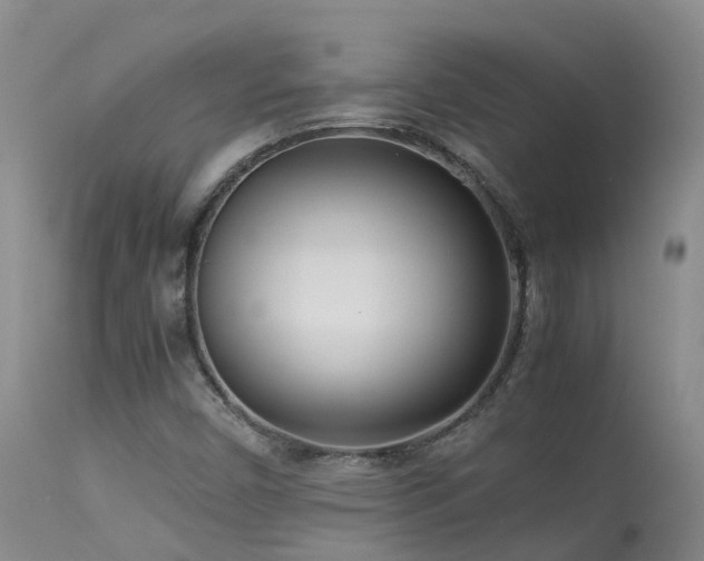 X0000113621450200909251155